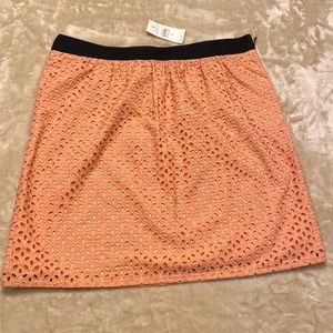 NWT Loft skirt